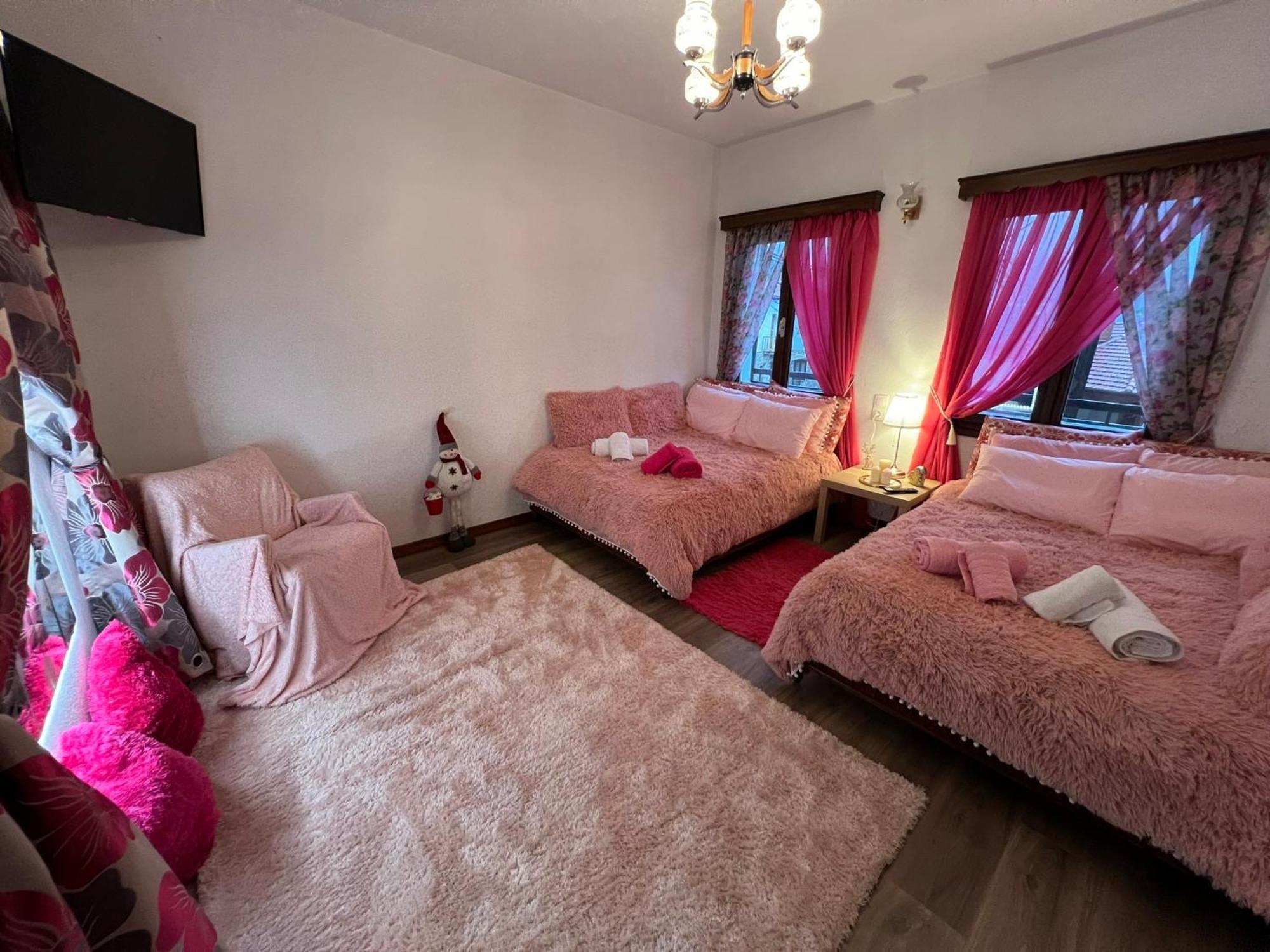 Apartamento Agapi'S House Metsovo Exterior foto